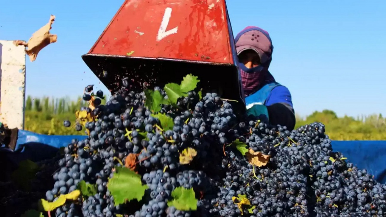 imagen Sergio Massa anunció un "dólar agro" a $300 para la soja y las economías regionales
