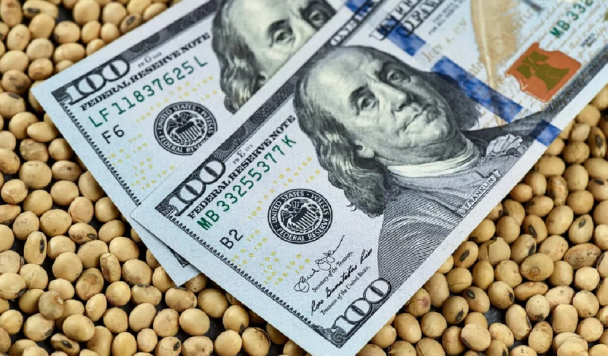 imagen Implementan el nuevo dólar soja con el objetivo de reforzar las reservas