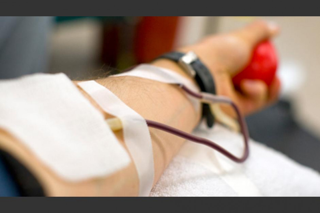 imagen Estiman un aumento de donantes voluntarios de sangre