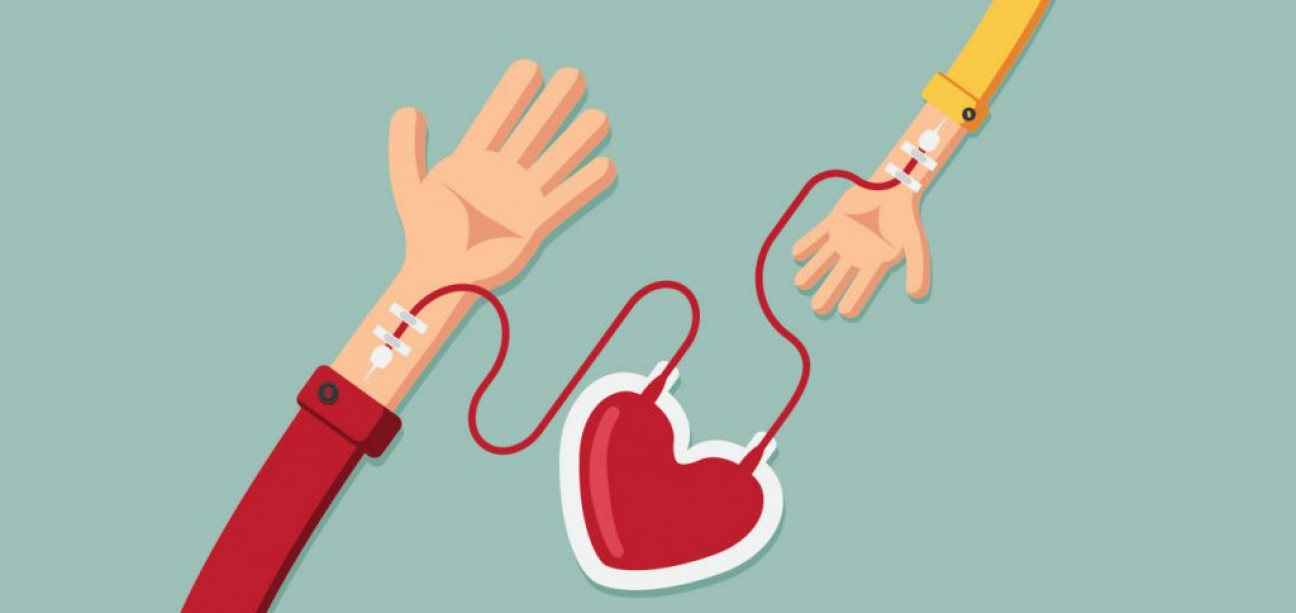 imagen Cómo y dónde podés donar sangre en Mendoza