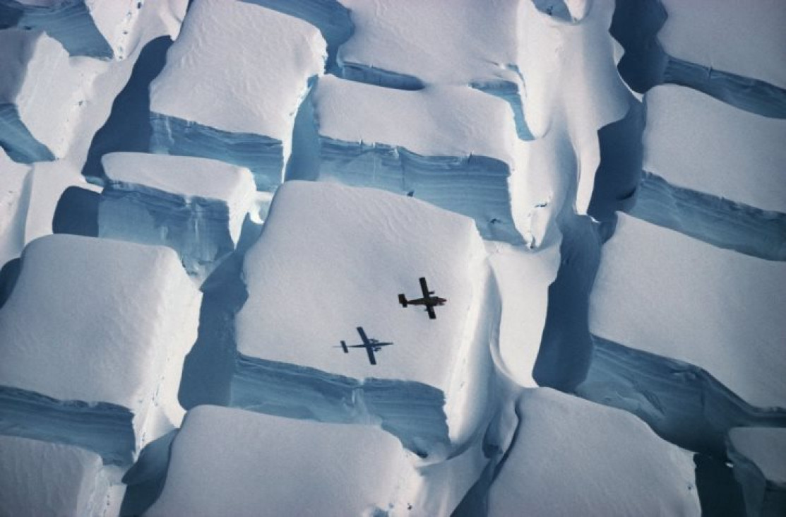 imagen Las mejores fotografías científicas del año, según la Royal Society