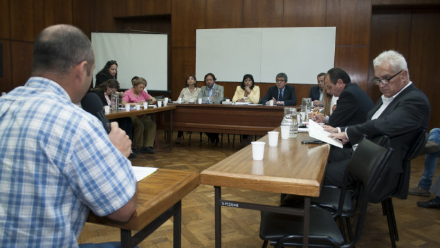imagen Debate minero: la voz de las organizaciones contra Hierro Indio