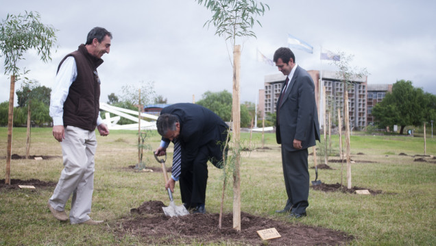 imagen Los 32 árboles de la memoria