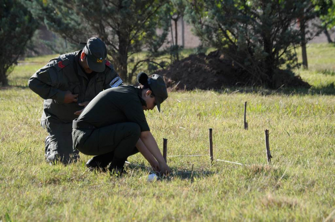 imagen En imágenes: los trabajos de excavación en el Próvolo