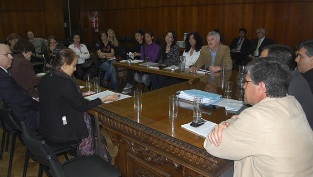 imagen El senado debate el protocolo del aborto no punible