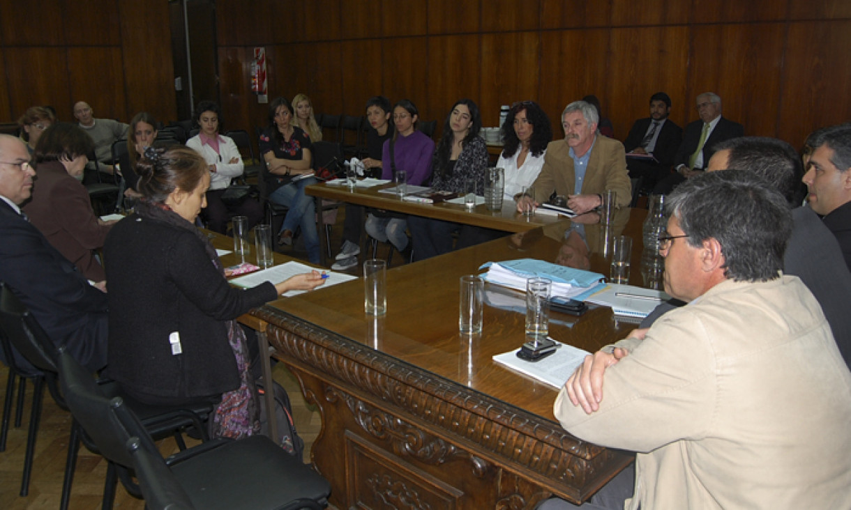imagen El senado debate el protocolo del aborto no punible