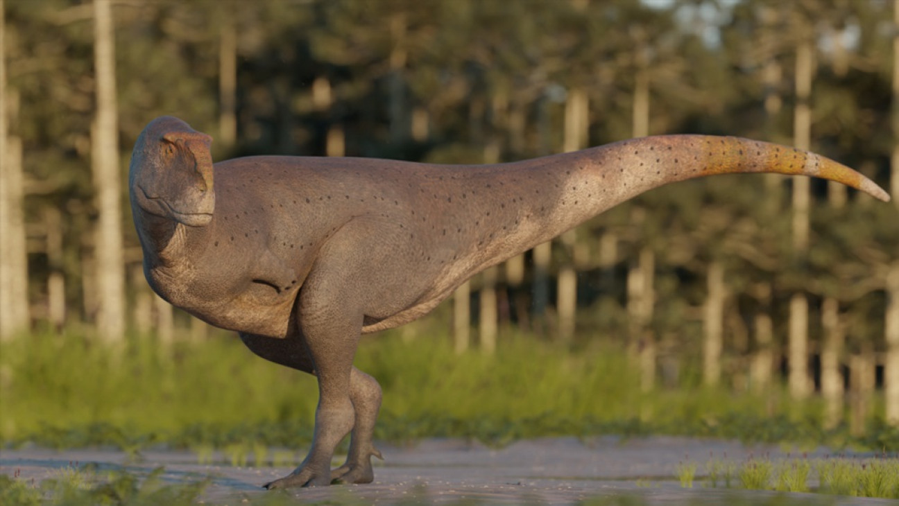 imagen Hallaron en Chubut una nueva especie de dinosaurio carnívoro que vivió hace 69 millones de años