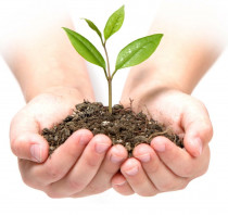 imagen EDUCACIÓN AMBIENTAL Y CAMBIO CLIMÁTICO
