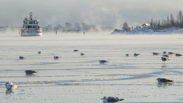 imagen Ola polar en Europa provocó 30 muertos 