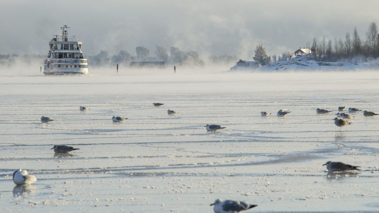 imagen Ola polar en Europa provocó 30 muertos 