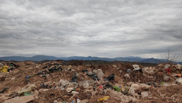 imagen Así es el plan para reforestar El Pozo