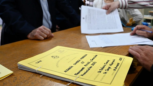imagen  Con un nuevo espacio opositor, son cuatro los frentes que competirán en las elecciones provinciales