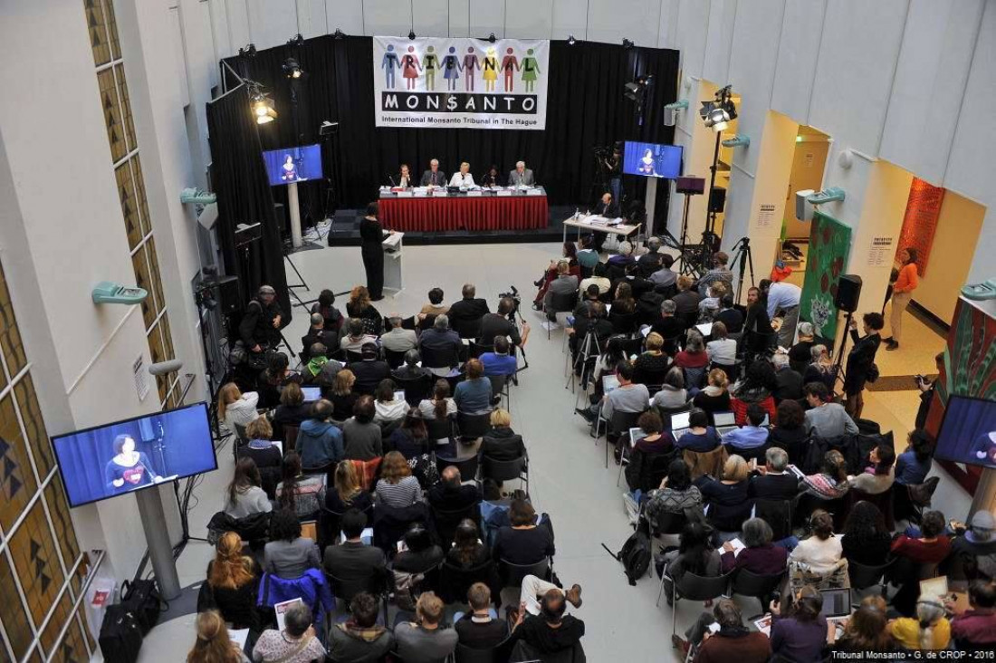 imagen Qué dijo el único argentino en exponer ante el Tribunal Monsanto
