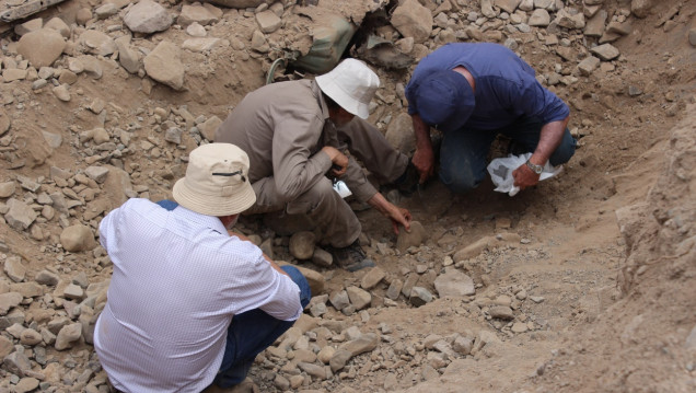 imagen Arqueología de la Memoria