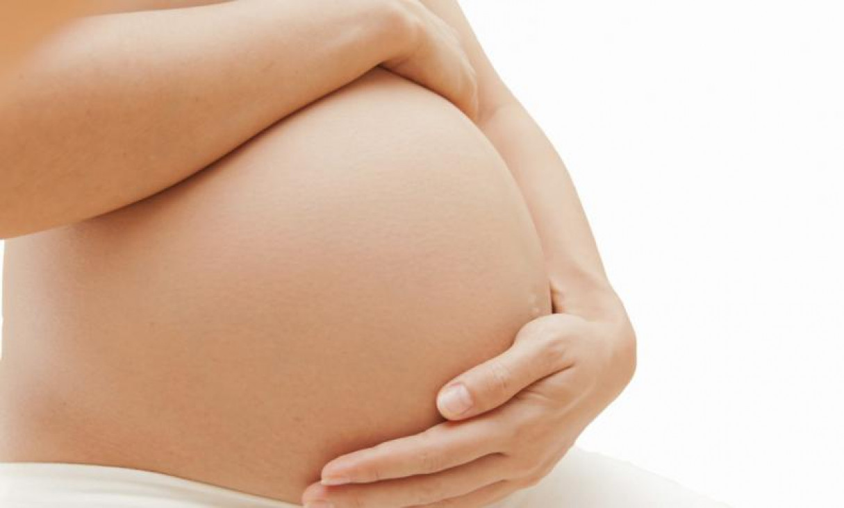 imagen Según el Comité de Bioética de la UNCUYO, "la primera forma de vida humana es el cigoto"