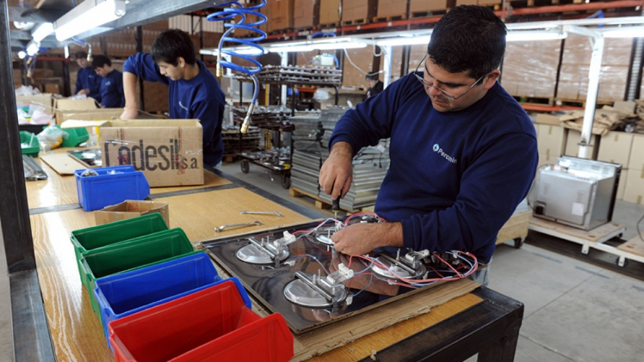 imagen Cómo funcionará el programa que transformará los planes sociales en empleo 