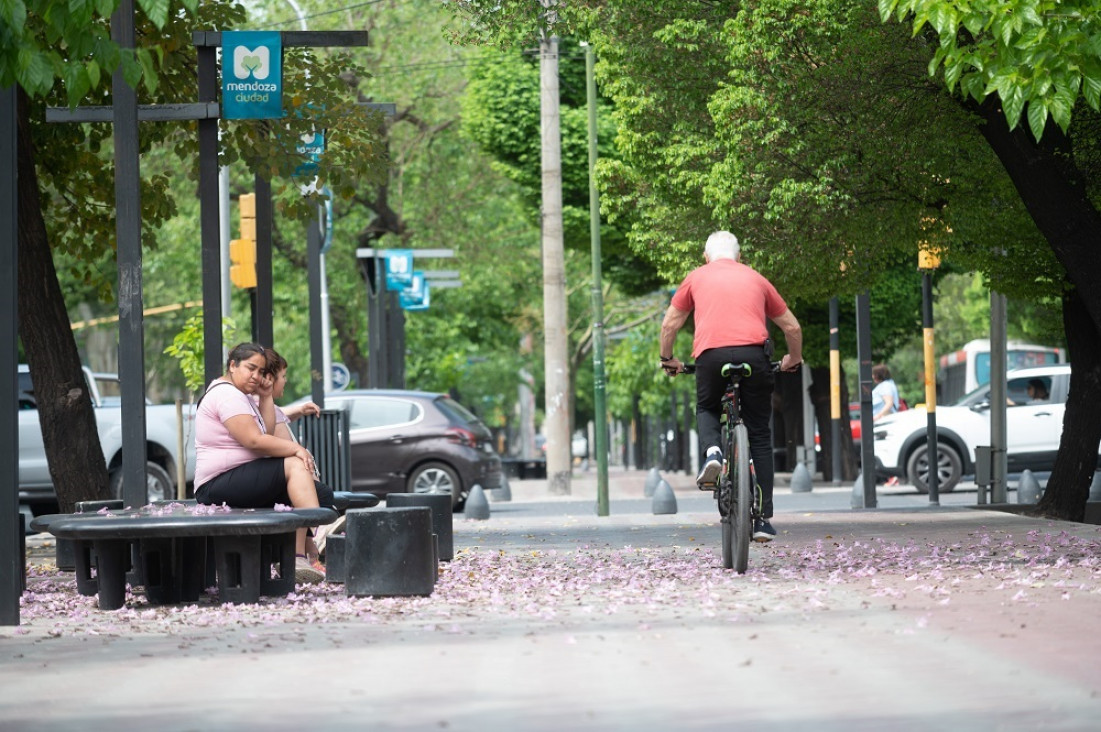 imagen La Ciudad de Mendoza es una de las jurisdicciones con mayor predominio femenino del país