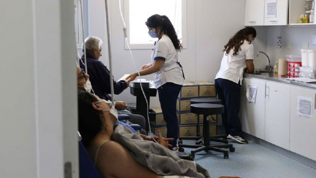 imagen La epidemia del dengue registró un nuevo récord de contagios y muertes en el país