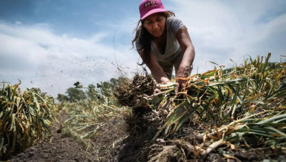 imagen ¿Transicionar a qué? Las trampas que esconde el horizonte sostenible de la agroecología 