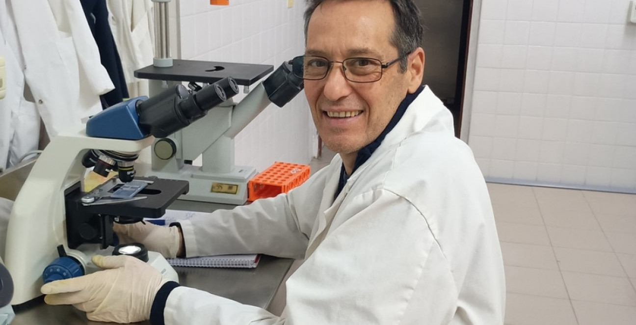 imagen Una planta autóctona de Mendoza abre camino en la lucha contra el cáncer