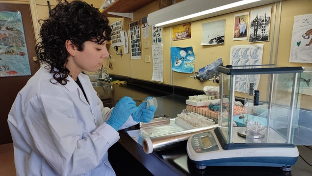 imagen Un equipo del Conicet desarrolló una herramienta para detectar el origen de organismos en el mar Argentino