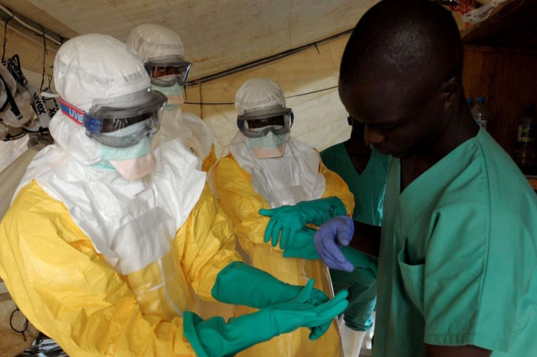 imagen Anunciaron el fin del brote de ébola en África Occidental