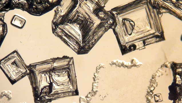 imagen Cristal de sal, la puerta para pensar en transportar vida microscópica a otros planetas 