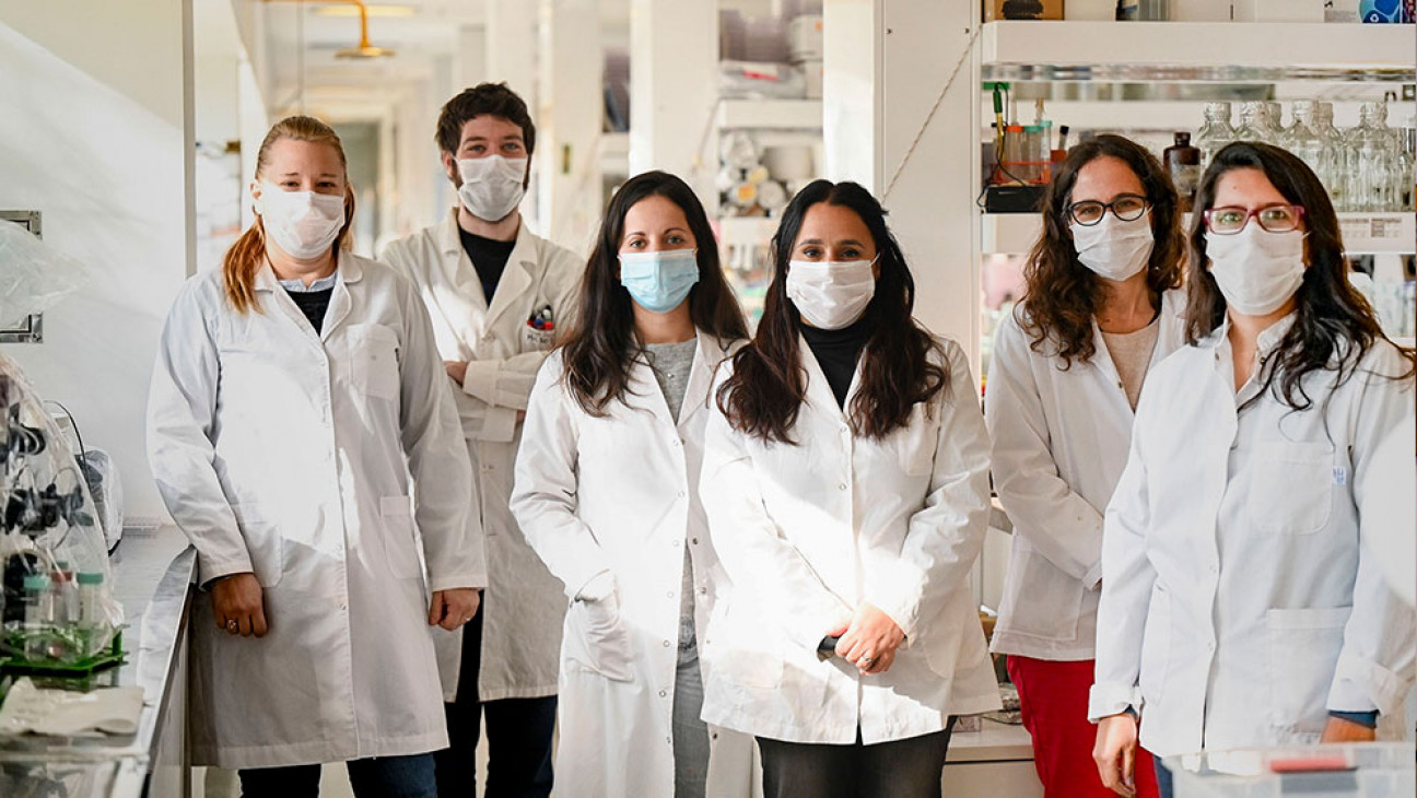 imagen Autorizaron el ensayo clínico para la siguiente fase de la vacuna argentina contra el coronavirus