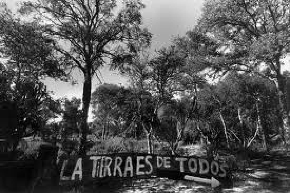 imagen Nuevo ataque de empresarios coreanos en San Martín