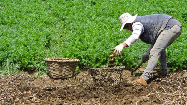 imagen Ya es ley el nuevo Sistema de Emergencia Agropecuaria en Mendoza