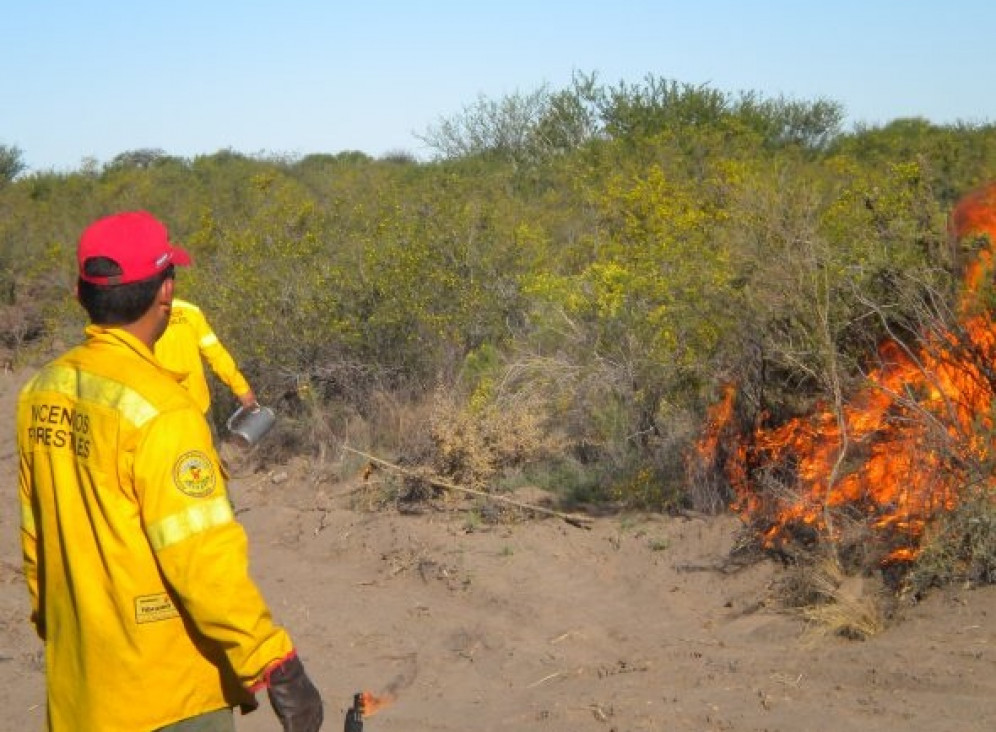 imagen Brigadistas controlaron un incendio forestal en la zona de Villavicencio