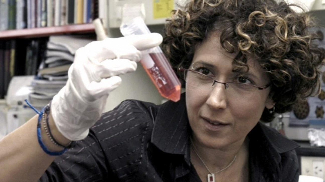 imagen Andrea Gamarnik fue incorporada a la Academia Estadounidense de las Artes y las Ciencias