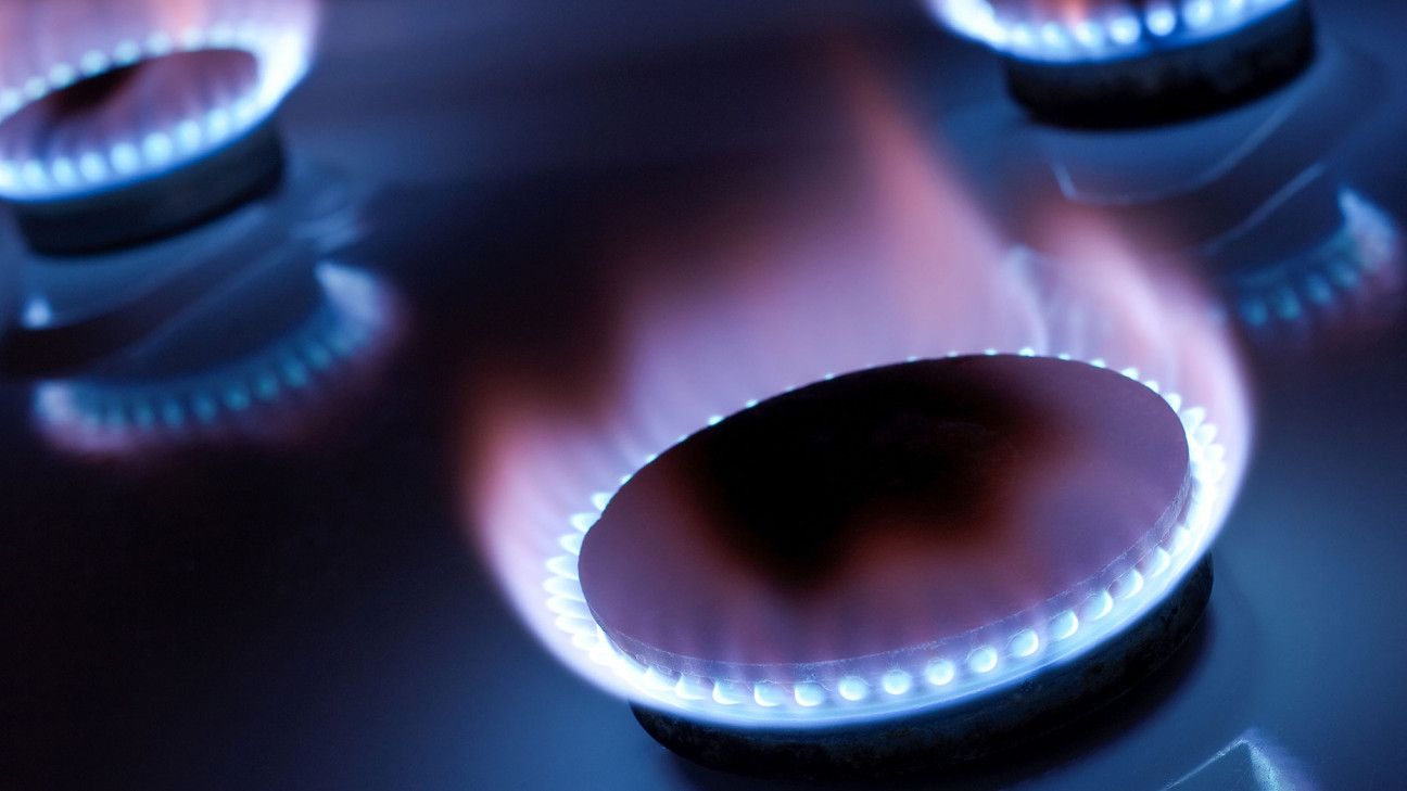 imagen Protectora se opone al proyecto que adecua la tarifa del gas