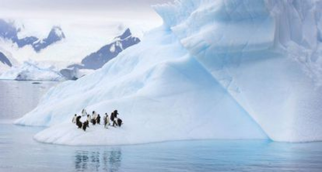 imagen Cómo la reducción de los glaciares antárticos puede causar suba del nivel de océanos