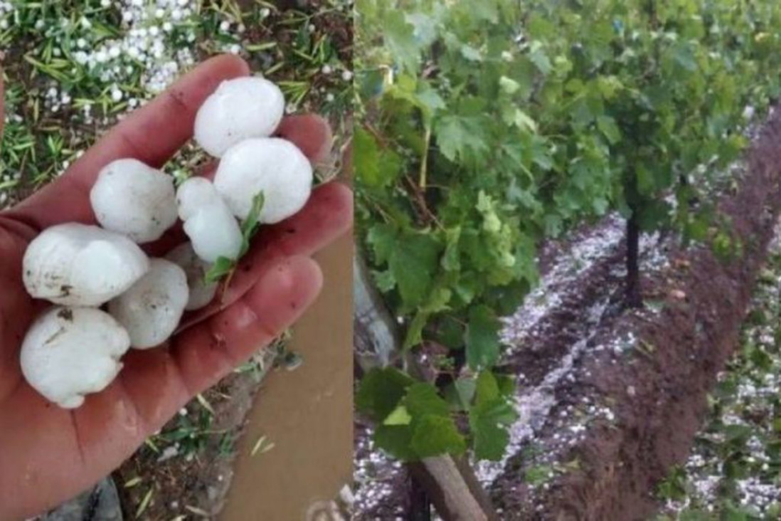 imagen Mendoza incrementó su sistema de lucha antigranizo, ante un año "atípico en materia climática" 