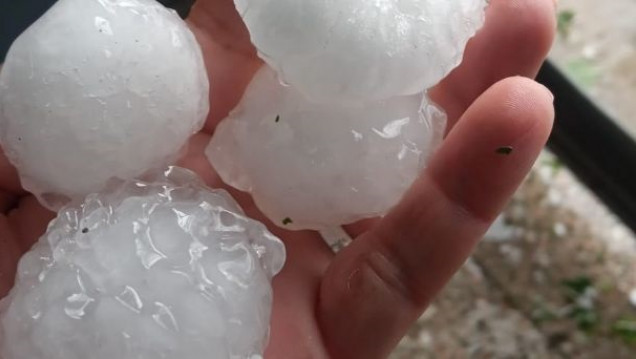 imagen La intensa tormenta causó la caída de árboles y cortes del servicio eléctrico en Mendoza