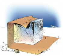 imagen El domo global