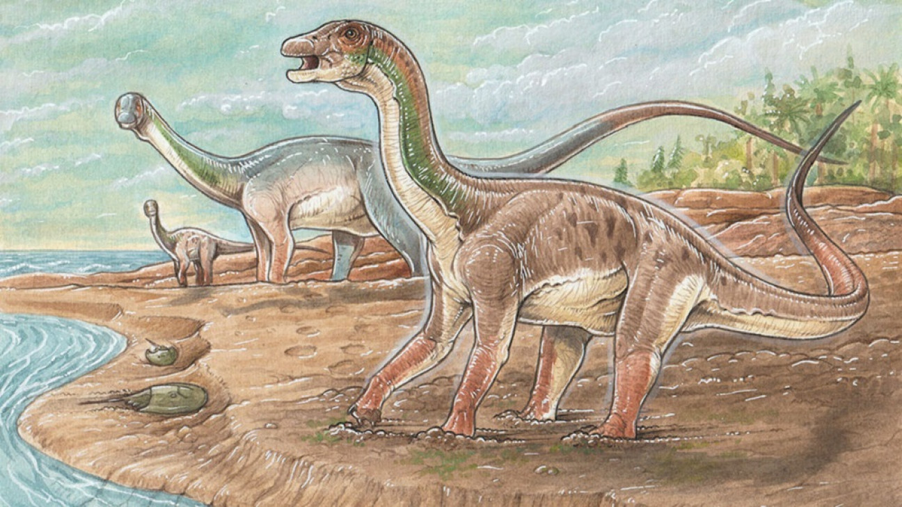imagen Descubren por primera vez huellas de "patinadas" de dinosaurios de 130 millones de años en Neuquén