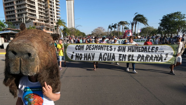 imagen Los detalles del nuevo proyecto de Ley de Humedales que llegó al Congreso