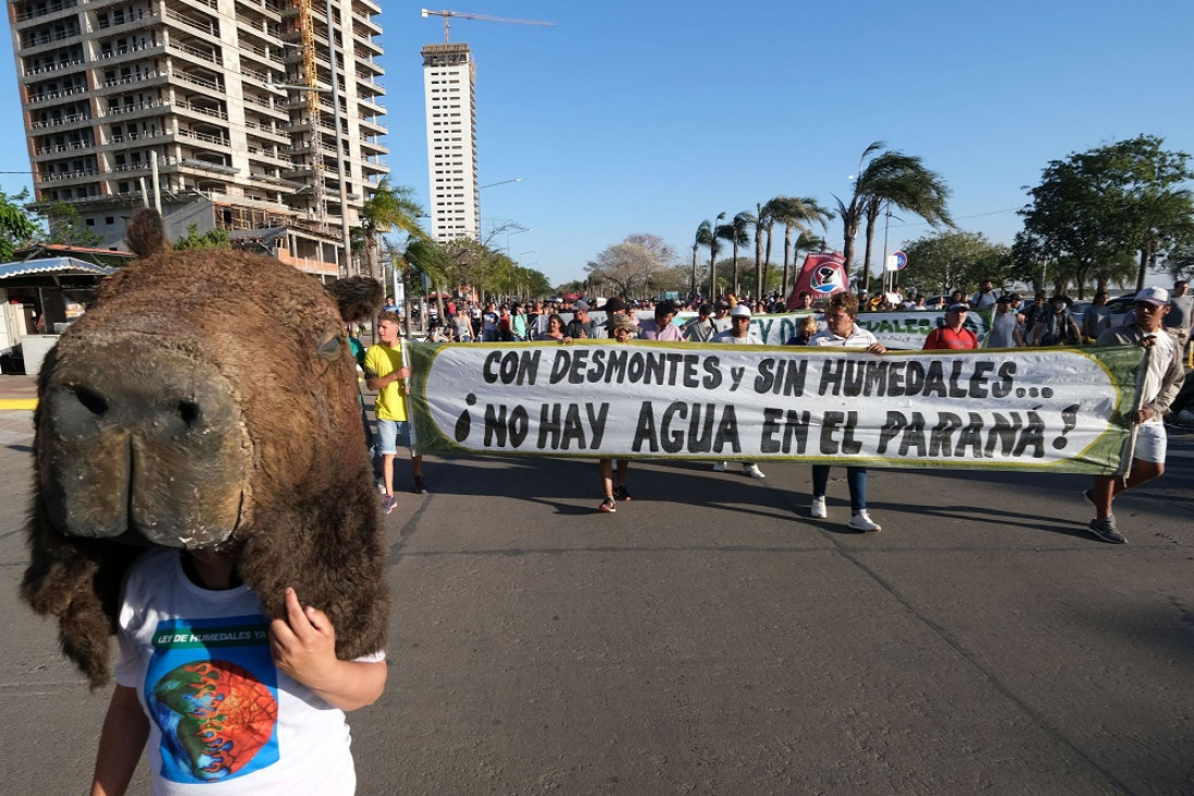 imagen Los detalles del nuevo proyecto de Ley de Humedales que llegó al Congreso