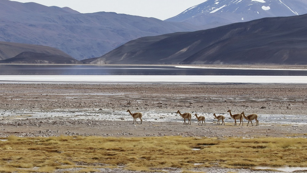 imagen Advierten que más del 35% de los humedales del mundo desaparecieron en los últimos 50 años
