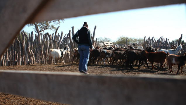 imagen Las organizaciones de agricultura  familiar reclaman la Ley de Freno de Desalojos 