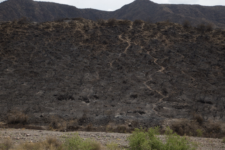 imagen Así quedó el Cerro Arco después del incendio