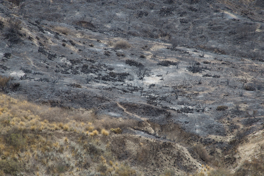 imagen Así quedó el Cerro Arco después del incendio