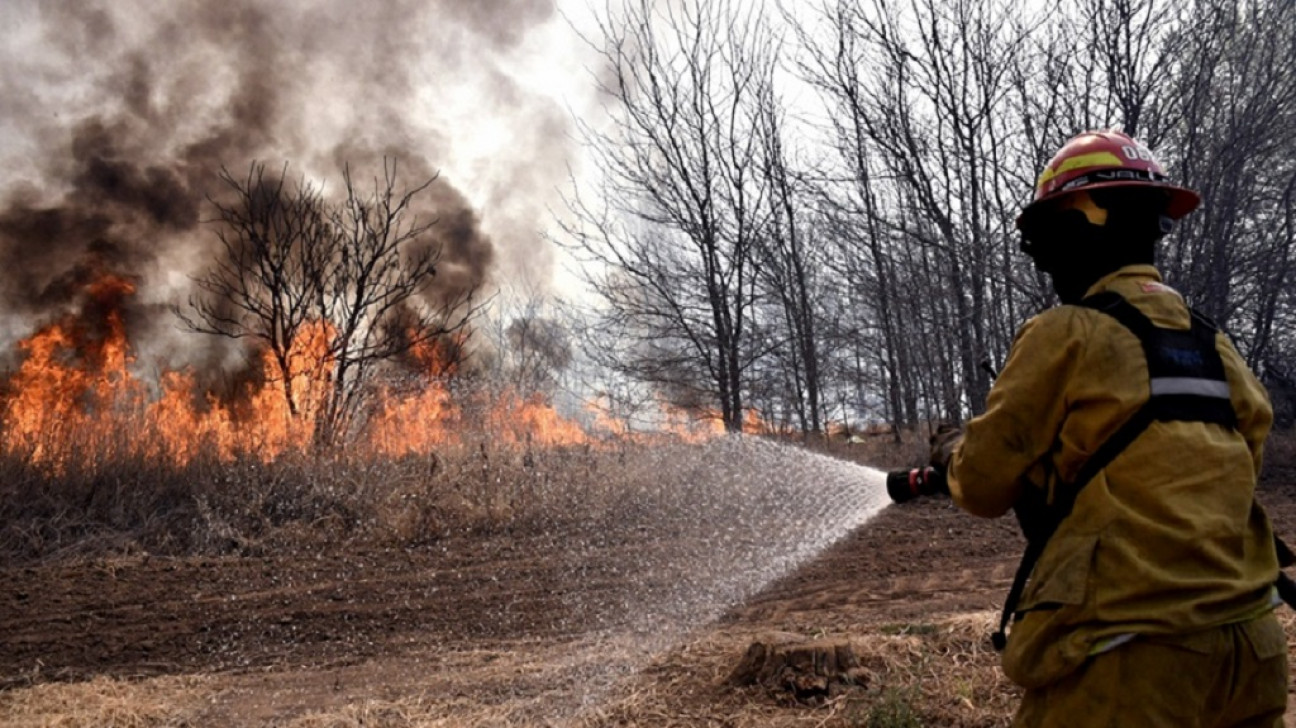 imagen Los incendios forestales serán cada vez más devastadores: las soluciones que propone la ONU 