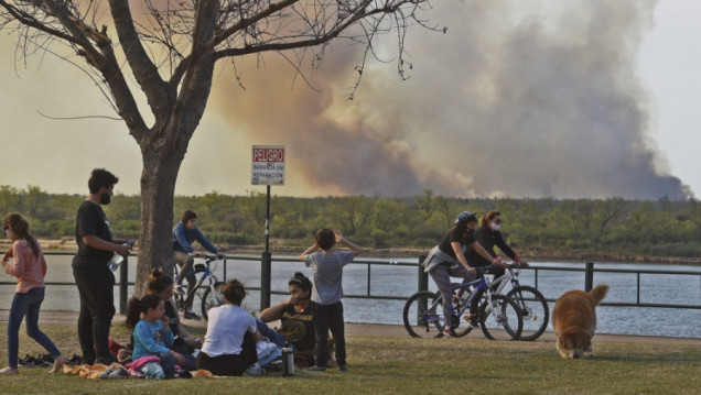 imagen Incendios en el Delta del Paraná: aún hay focos activos  
