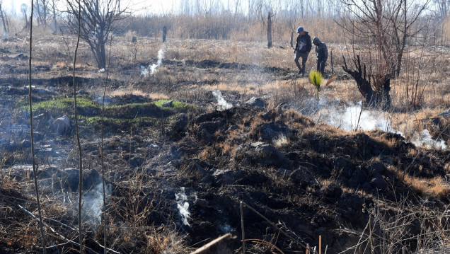 imagen Turba de antiguos cultivos arde bajo la tierra en Guaymallén
