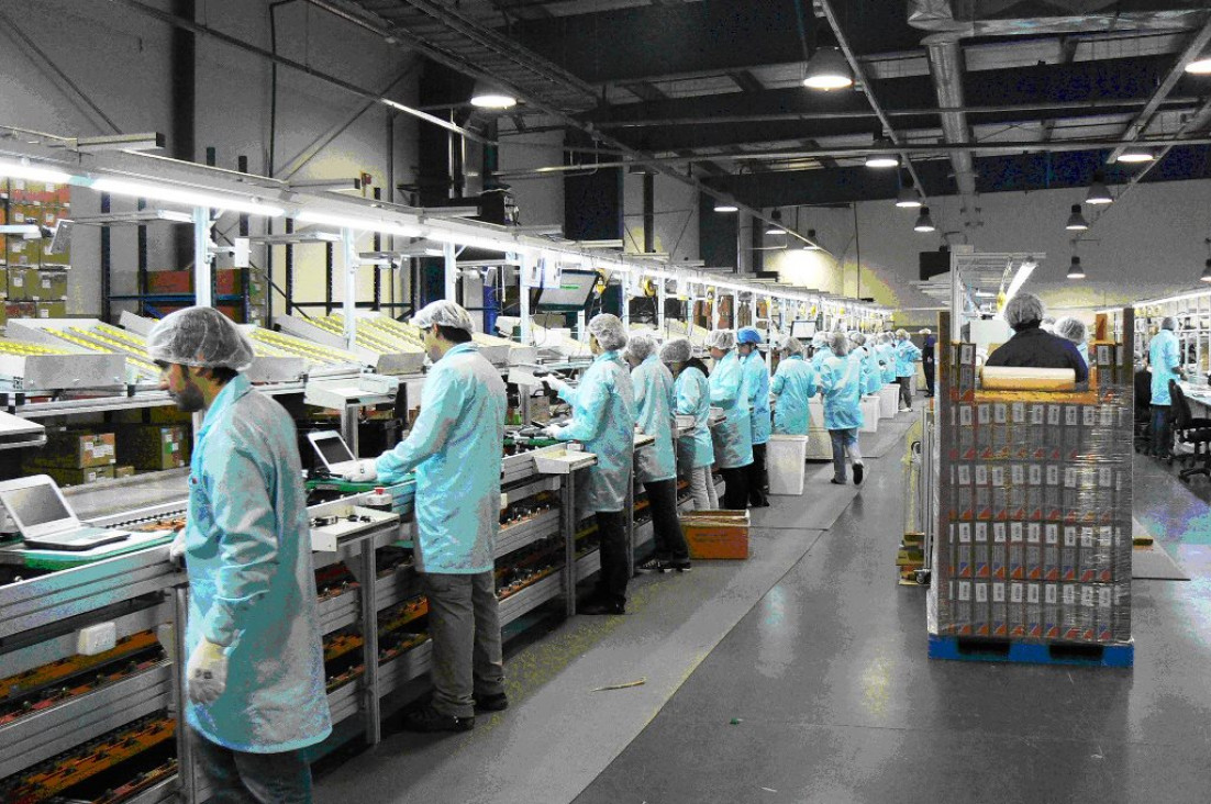 imagen La industria sufrió su cuarta caída consecutiva: cedió el 5,6 % en agosto