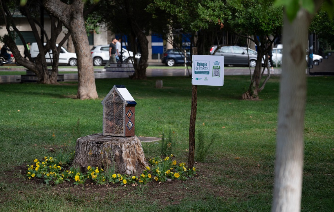 imagen "Casitas" para insectos: nueva estrategia para control biológico de plagas 