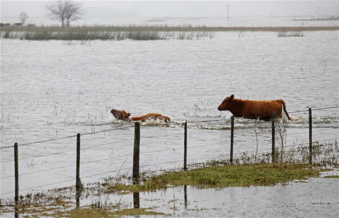 imagen Las inundaciones afectan casi un tercio de la producción agropecuaria